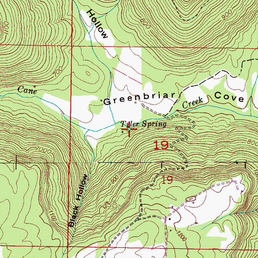 Topographic Map of Tyler Spring, AL