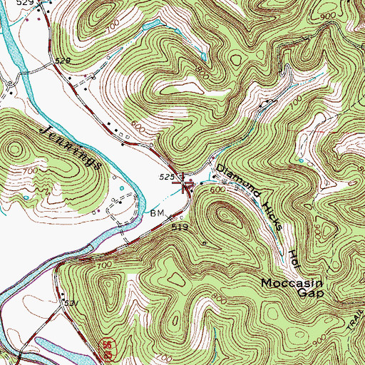 Topographic Map of Diamond Hicks Hollow, TN