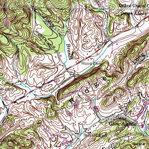 Topographic Map of Dolan Branch, TN