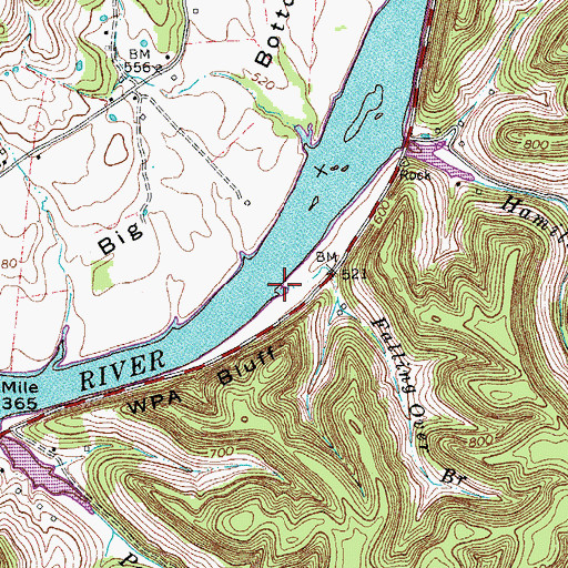 Topographic Map of Falling Over Branch, TN