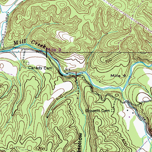 Topographic Map of Flowers Hollow, TN