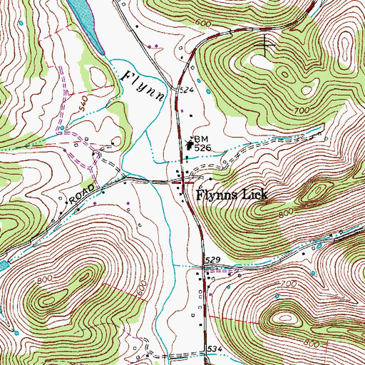 Topographic Map of Flynns Lick, TN