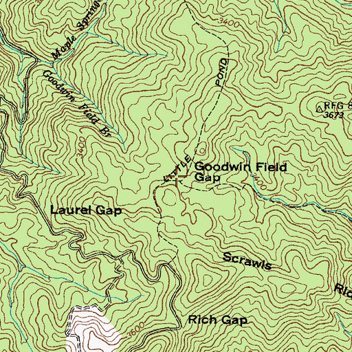 Topographic Map of Goodwin Field Gap, TN