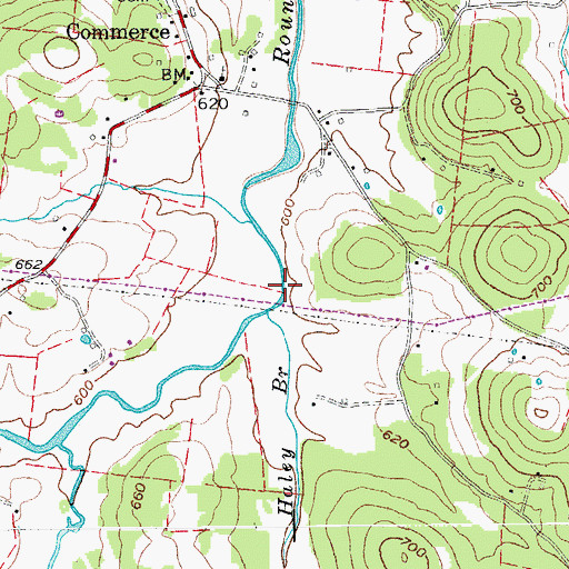Topographic Map of Haley Branch, TN