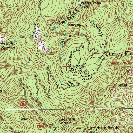 Topographic Map of Turkey Flat, AZ
