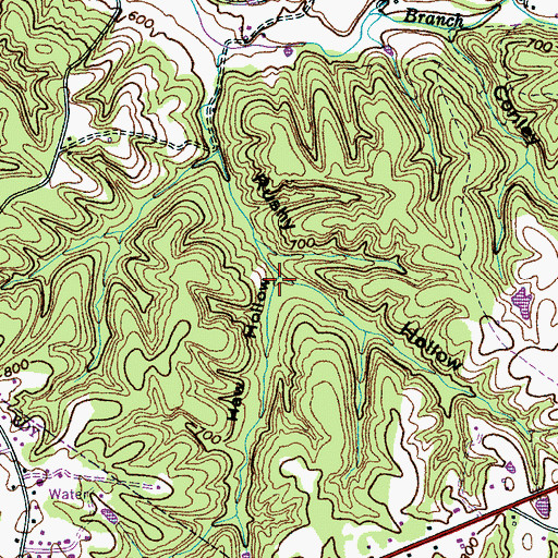 Topographic Map of Haw Hollow, TN