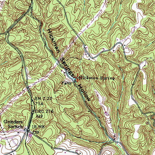 Topographic Map of Hickman Spring, TN