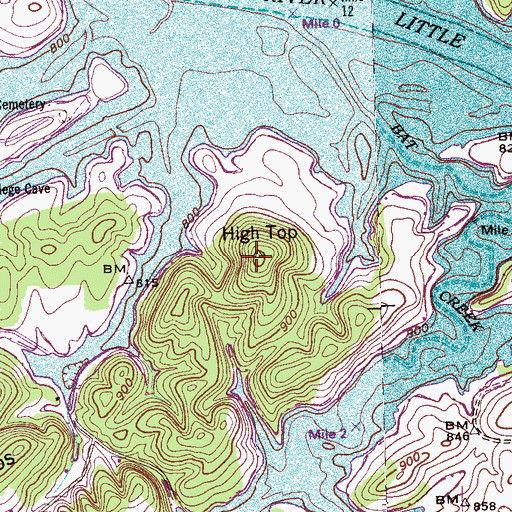 Topographic Map of High Top, TN