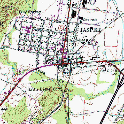 Topographic Map of Jasper, TN