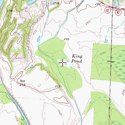 Topographic Map of King Pond, TN