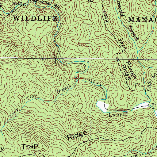 Topographic Map of Lacy Trap Branch, TN