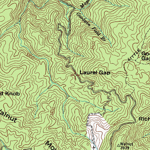 Topographic Map of Laurel Gap, TN