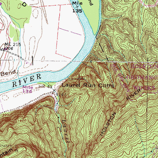 Topographic Map of Laurel Run Cliffs, TN