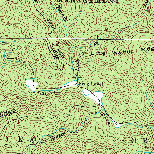 Topographic Map of Little Laurel Fork, TN
