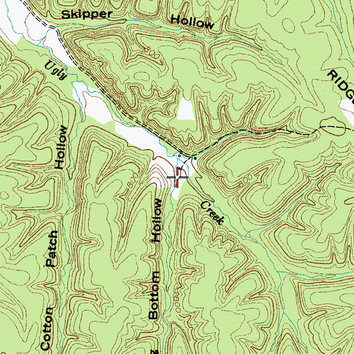 Topographic Map of Long Bottom Hollow, TN