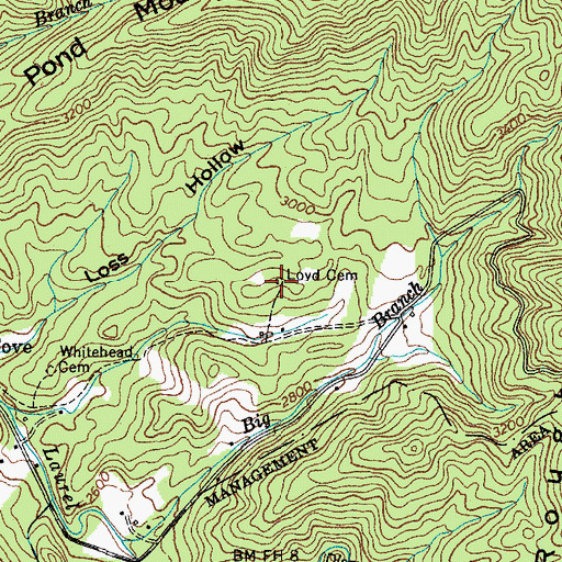 Topographic Map of Loyd Cemetery, TN