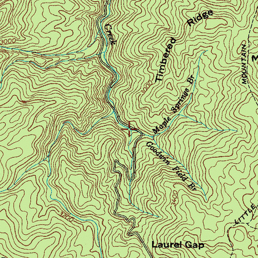 Topographic Map of Maple Springs Branch, TN
