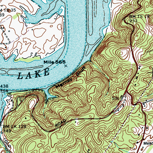 Topographic Map of Marney Bluff, TN