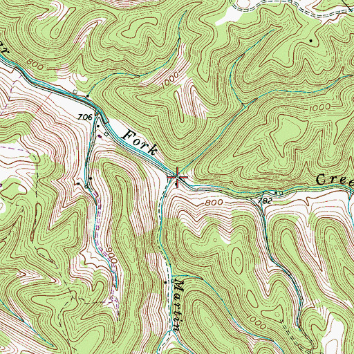 Topographic Map of Martin Branch, TN