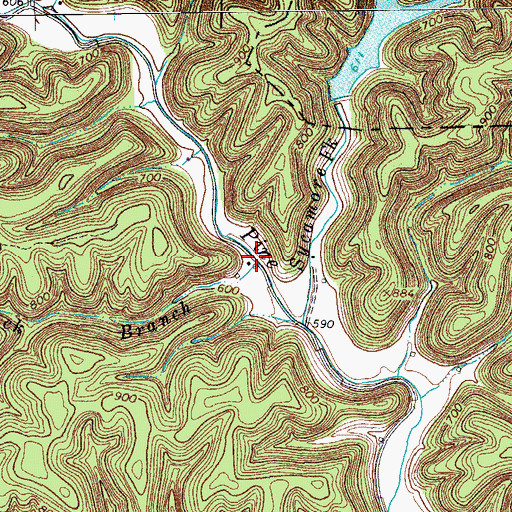 Topographic Map of Mashlick Branch, TN
