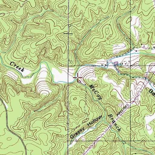 Topographic Map of McCoy Branch, TN