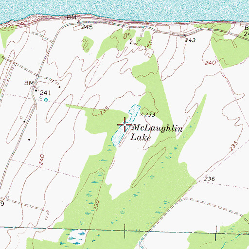 Topographic Map of McLaughlin Lake, TN