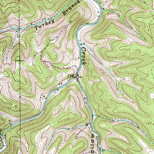 Topographic Map of Melton Hollow, TN
