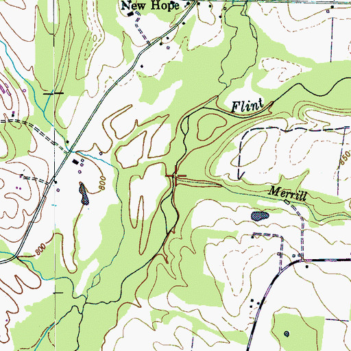 Topographic Map of Merrill Branch, TN