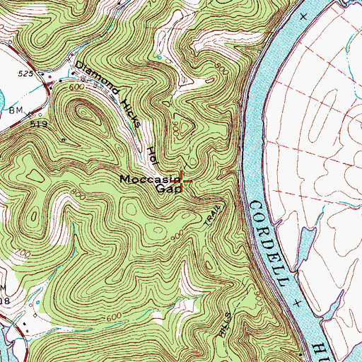 Topographic Map of Moccasin Gap, TN
