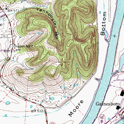 Topographic Map of Moore Bottom, TN