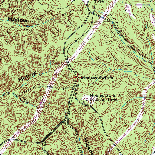Topographic Map of Moores Switch, TN