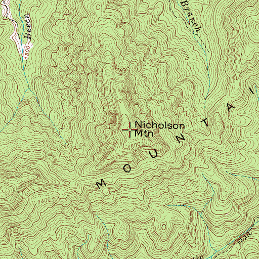 Topographic Map of Nicholson Mountain, TN