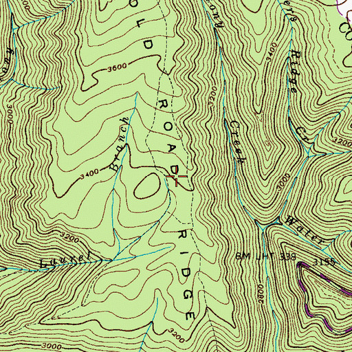 Topographic Map of Old Road Ridge, TN
