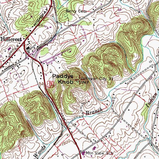 Topographic Map of Paddys Knob, TN