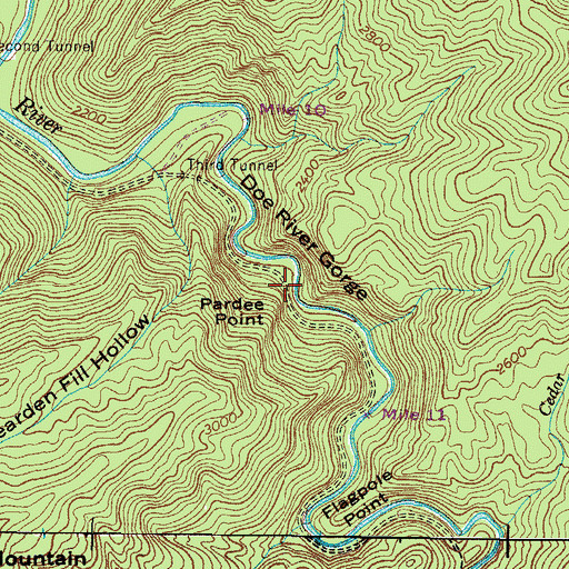 Topographic Map of Pardee Point, TN