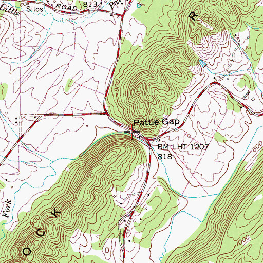 Topographic Map of Pattie Gap, TN
