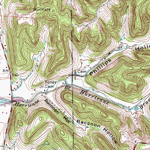 Topographic Map of Phillips Hollow, TN