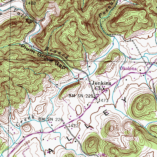 Topographic Map of Poor Valley Branch, TN