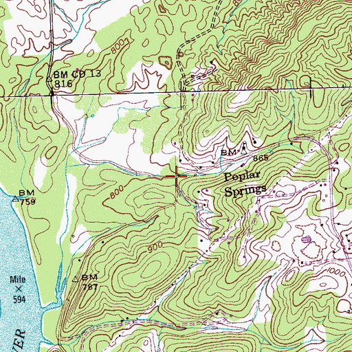 Topographic Map of Poplar Springs, TN