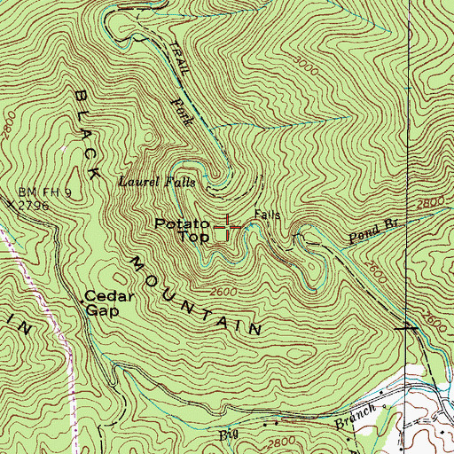 Topographic Map of Potato Top, TN