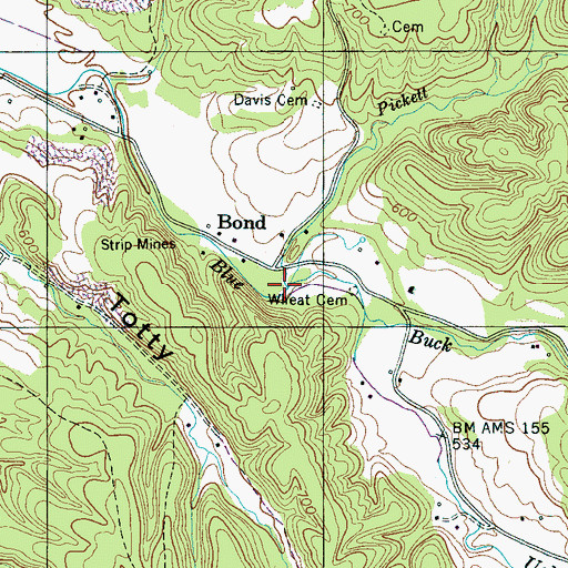 Topographic Map of Prickett Branch, TN