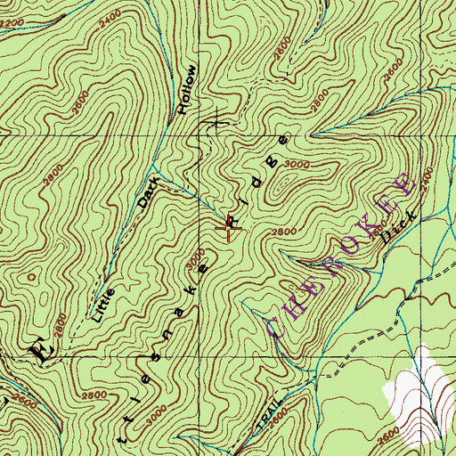 Topographic Map of Rattlesnake Ridge, TN