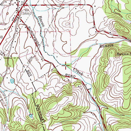 Topographic Map of Rausin Creek, TN