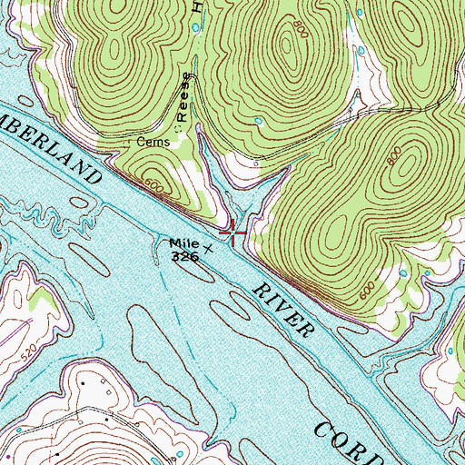 Topographic Map of Reese Hollow, TN