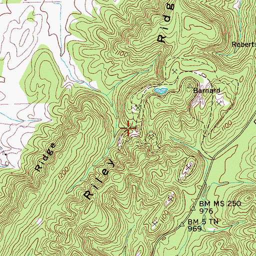Topographic Map of Riley Ridge, TN