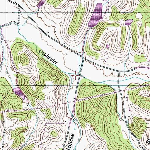 Topographic Map of Robinson Hollow, TN