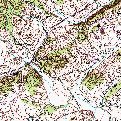 Topographic Map of Roseberry Ridge, TN