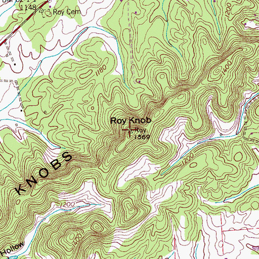 Topographic Map of Roy Knob, TN