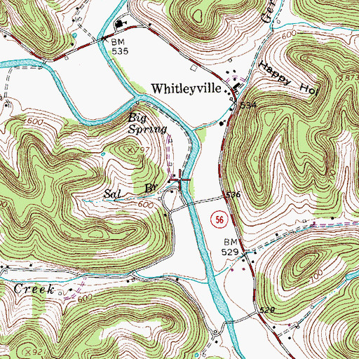 Topographic Map of Sal Branch, TN