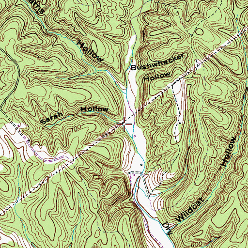 Topographic Map of Sarah Hollow, TN